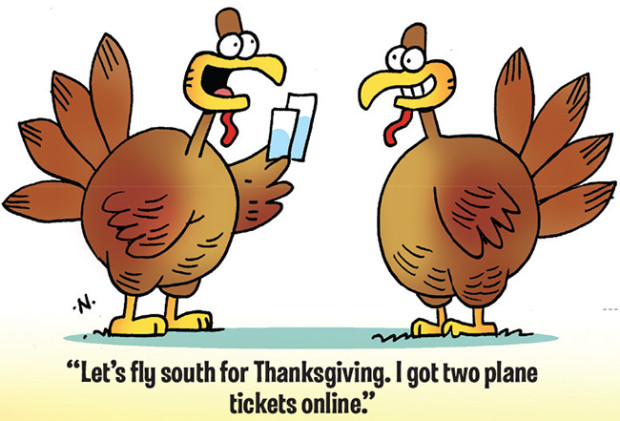 Funny Thanksgiving Turkey
 38 Funny Thanksgiving Day Jokes and ics – Boys Life