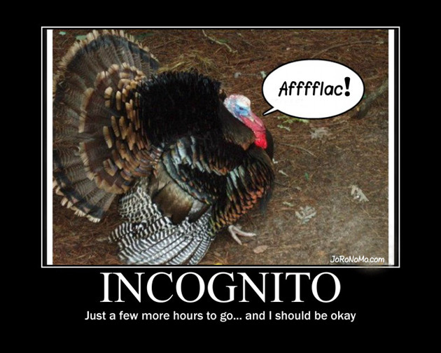 Funny Thanksgiving Turkey Pictures
 Funny Turkey Pics on Pinterest