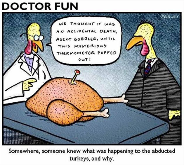 Funny Thanksgiving Turkey Pictures
 Funny Thanksgiving pilation 20 Pics