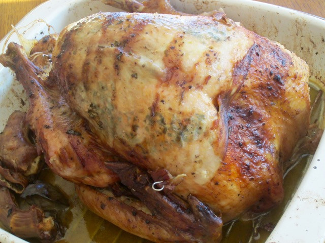 Gordon Ramsay Thanksgiving Turkey
 Gordon Ramsay’s Christmas Turkey with Gravy – My Favourite