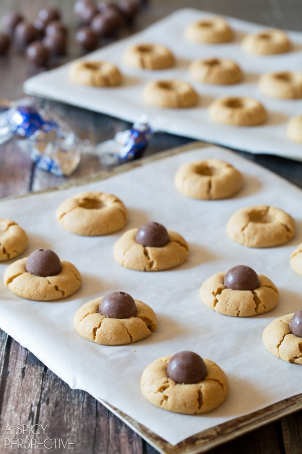 Halloween Peanut Butter Cookies
 Chocolate Peanut Butter Spider Cookies Video A Spicy