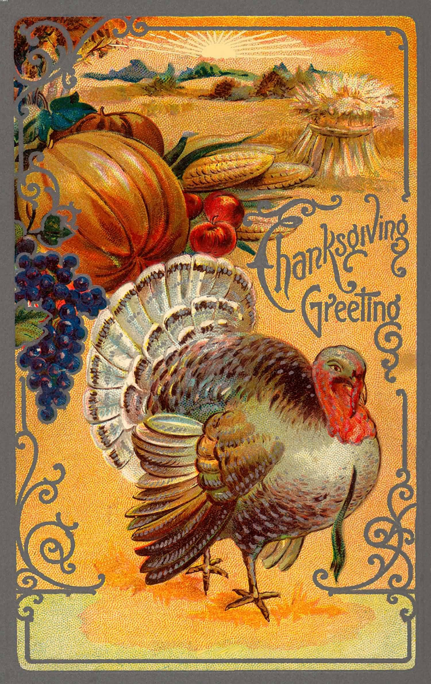 Happy Thanksgiving Turkey Pictures
 70 Best Happy Thanksgiving Day Wish