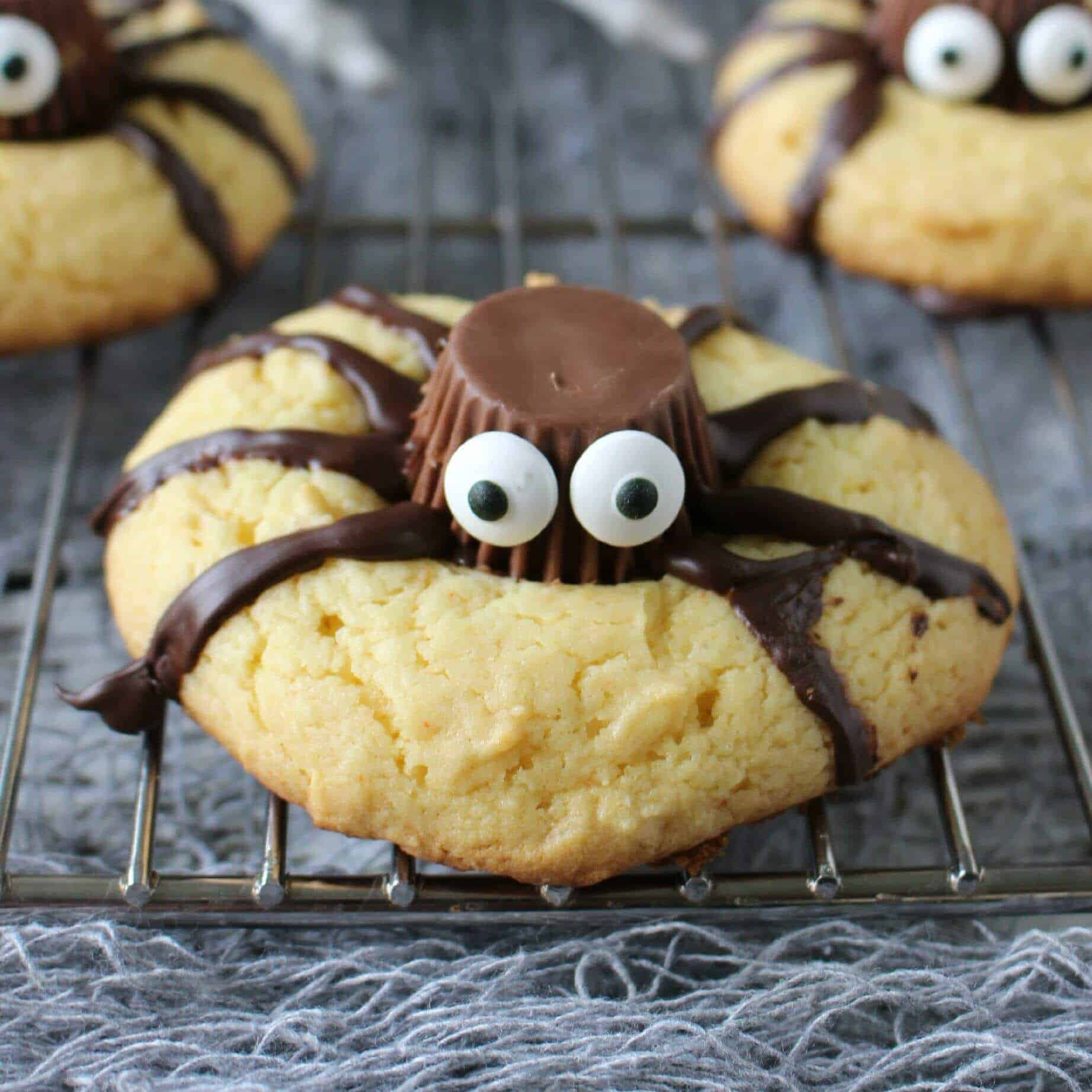 Homemade Halloween Cookies
 Easy Halloween Spider Cookies Page 2 of 2 Princess