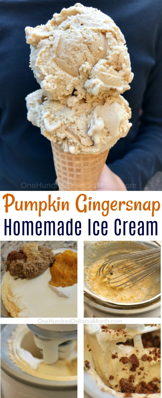 Homemade Thanksgiving Desserts
 Thanksgiving Dessert Recipes Pumpkin Gingersnap Ice