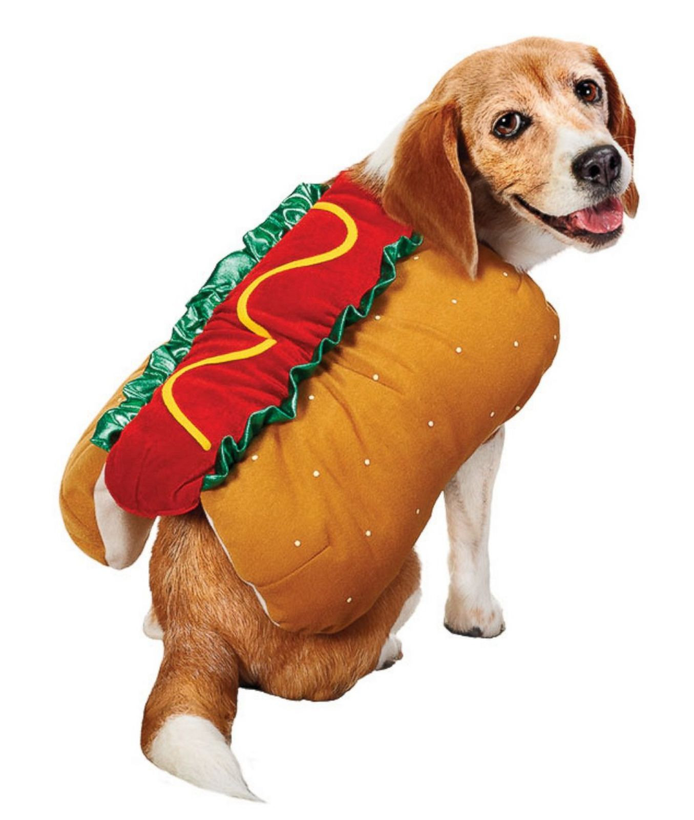 Hot Dog Halloween Costume For Dogs
 Hot Dog Picture Halloween Costumes For Pets Abc News