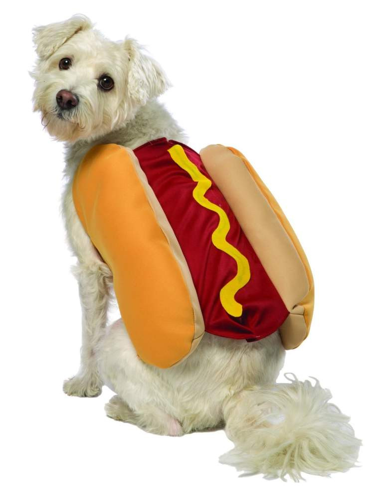 Hot Dog Halloween Costume For Dogs
 Top 20 Best Cute Dog Costumes for Halloween in 2017
