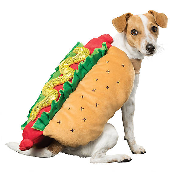 Hot Dog Halloween Costumes For Dogs
 Thrills & Chills™ Halloween Hot Dog Costume