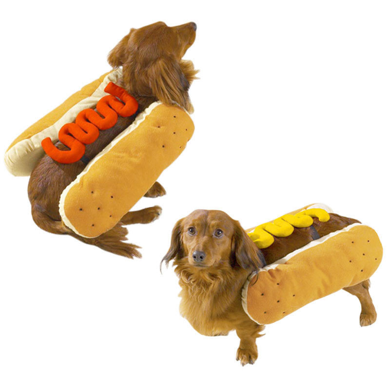 Hot Dog Halloween Costumes For Dogs
 Hot Diggity Dog Hot Dog Halloween Costume Choose Hotdog