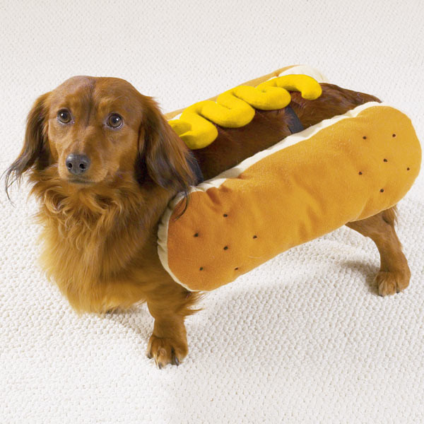 Hot Dog Halloween Costumes For Dogs
 Hot Dog with Mustard Dog Halloween Costume