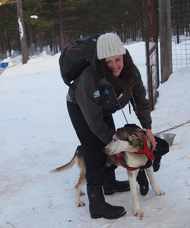 Hot Dogs And Hot Dog Buns Are Complements. If The Price Of A Hot Dog Falls, Then
 Norway winter sports holidays Dog sledding and cross