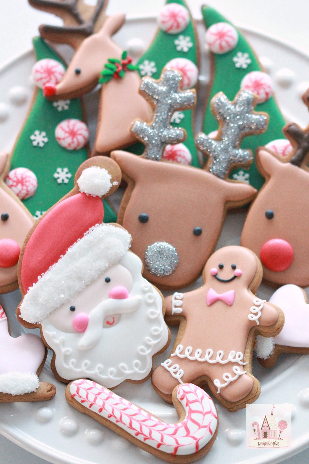 Icing For Christmas Cookies
 Video How to Decorate Christmas Cookies Simple Designs