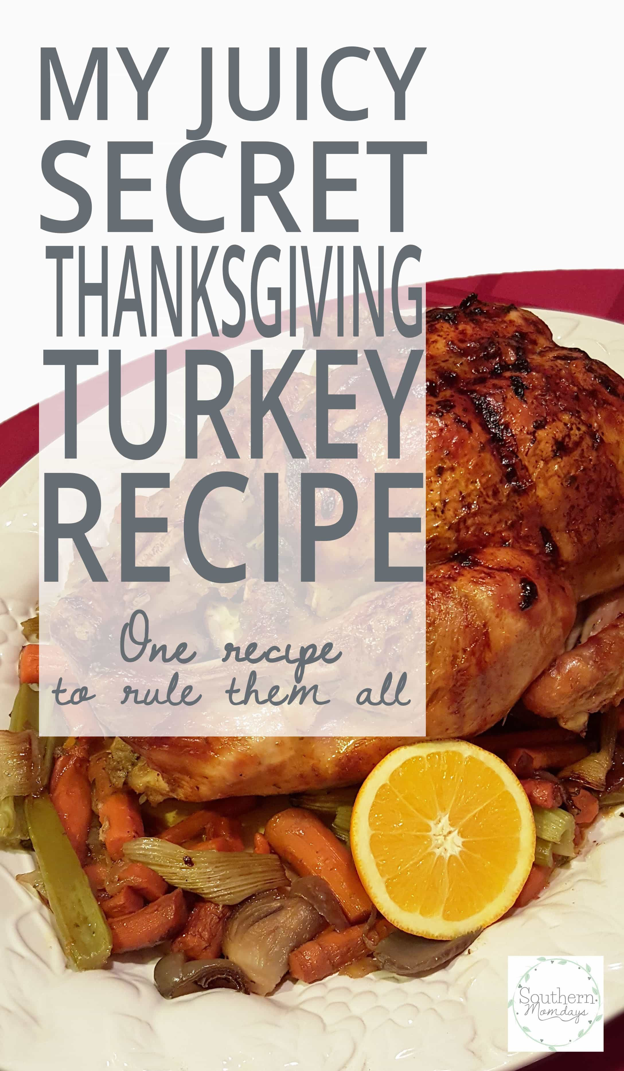 Juicy Thanksgiving Turkey Recipe
 My Juicy Secret Thanksgiving Turkey Recipe Southern Momdays