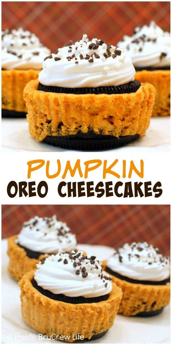Mini Fall Desserts
 559 best images about Cheesecake Heaven on Pinterest