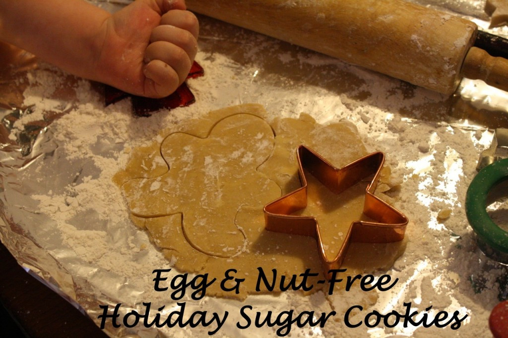 Nut Free Christmas Cookies
 Tricia’s Egg and Nut Free Holiday Cookies