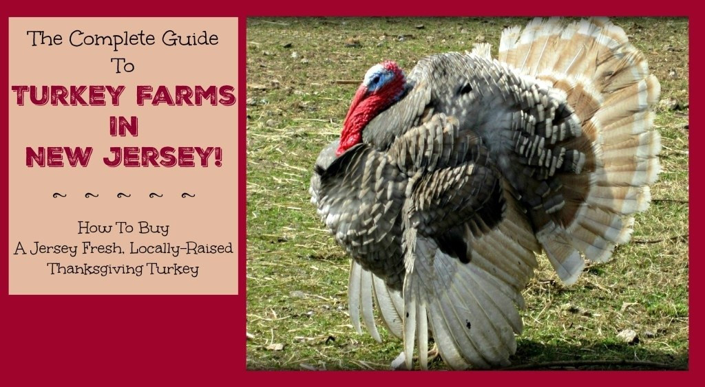 Organic Thanksgiving Turkey
 organic turkey farms in nj Archives Things to Do In New