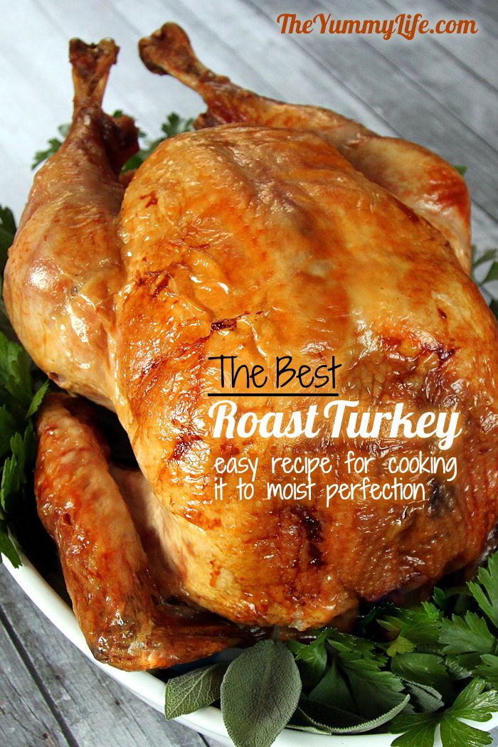 Oven Turkey Recipes Thanksgiving
 Step by Step Guide to The Best Roast Turkey