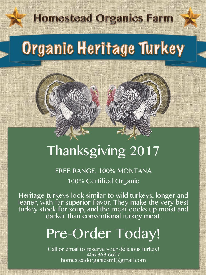 Pre Order Thanksgiving Turkey
 Thanksgiving Turkey Pre order Today