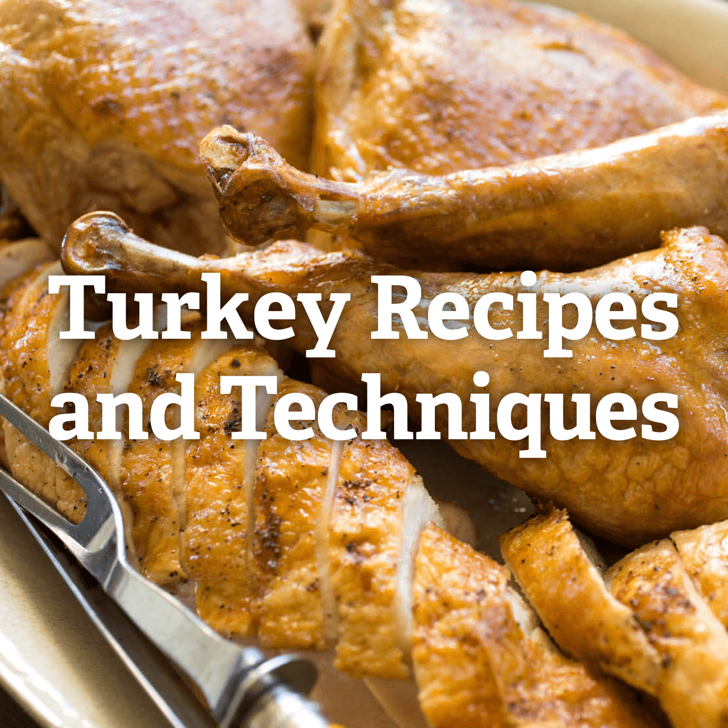 Recipes For Thanksgiving Turkey
 Thanksgiving Turkey Recipes and Techniques