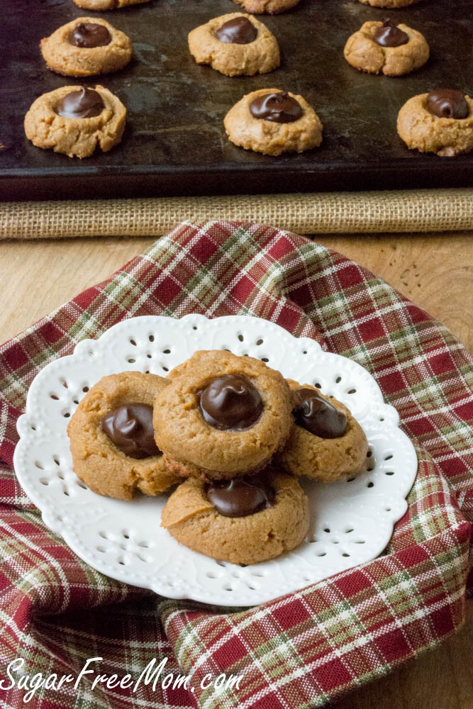 Sugarfree Christmas Cookies
 21 Sugar Free Low Carb Holiday Cookie Recipes