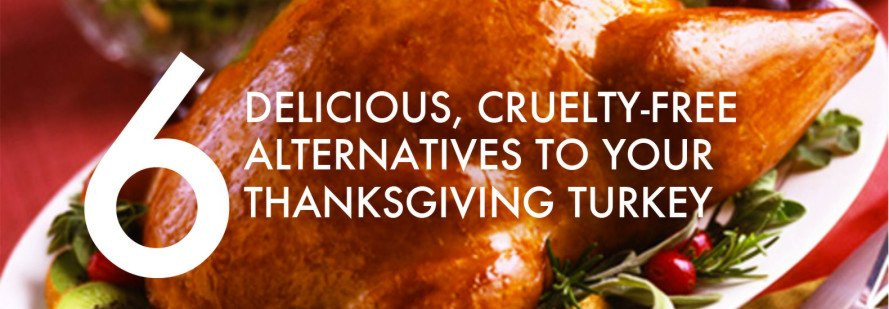 Thanksgiving Alternatives To Turkey
 Field Roast Grain Meat Inhabitat – Green Design
