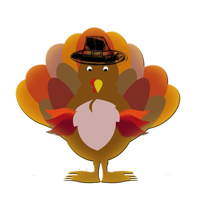 Thanksgiving Cartoon Turkey
 Turkey Thanksgiving Cartoon · Free image on Pixabay