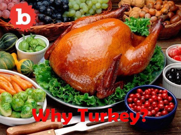 Thanksgiving Main Dishes Not Turkey
 Turkey is the Main dish for the Thanksgiving Day Meal but