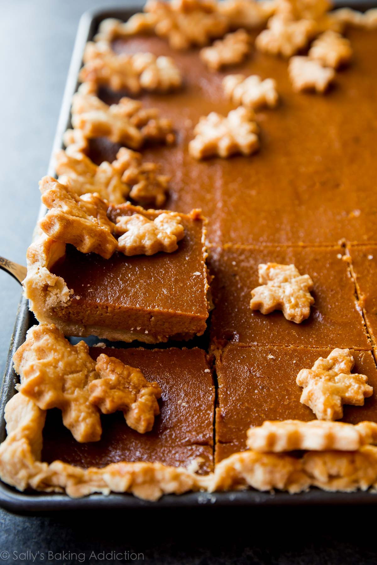 Thanksgiving Pumpkin Pie Recipe
 Pumpkin Slab Pie Feeds a Crowd Sallys Baking Addiction