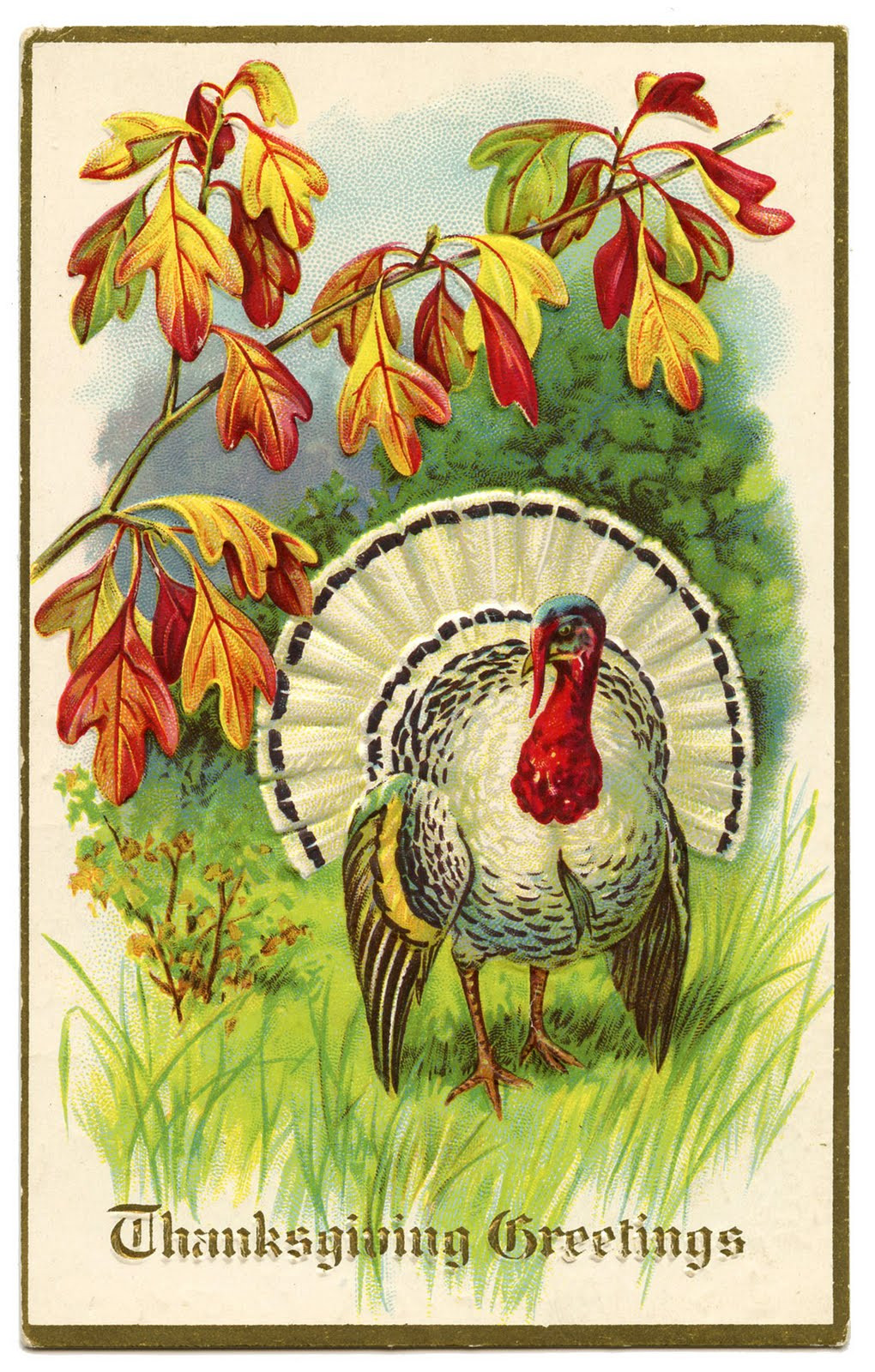 Thanksgiving Turkey Art
 Vintage Thanksgiving Clip Art White Turkey The