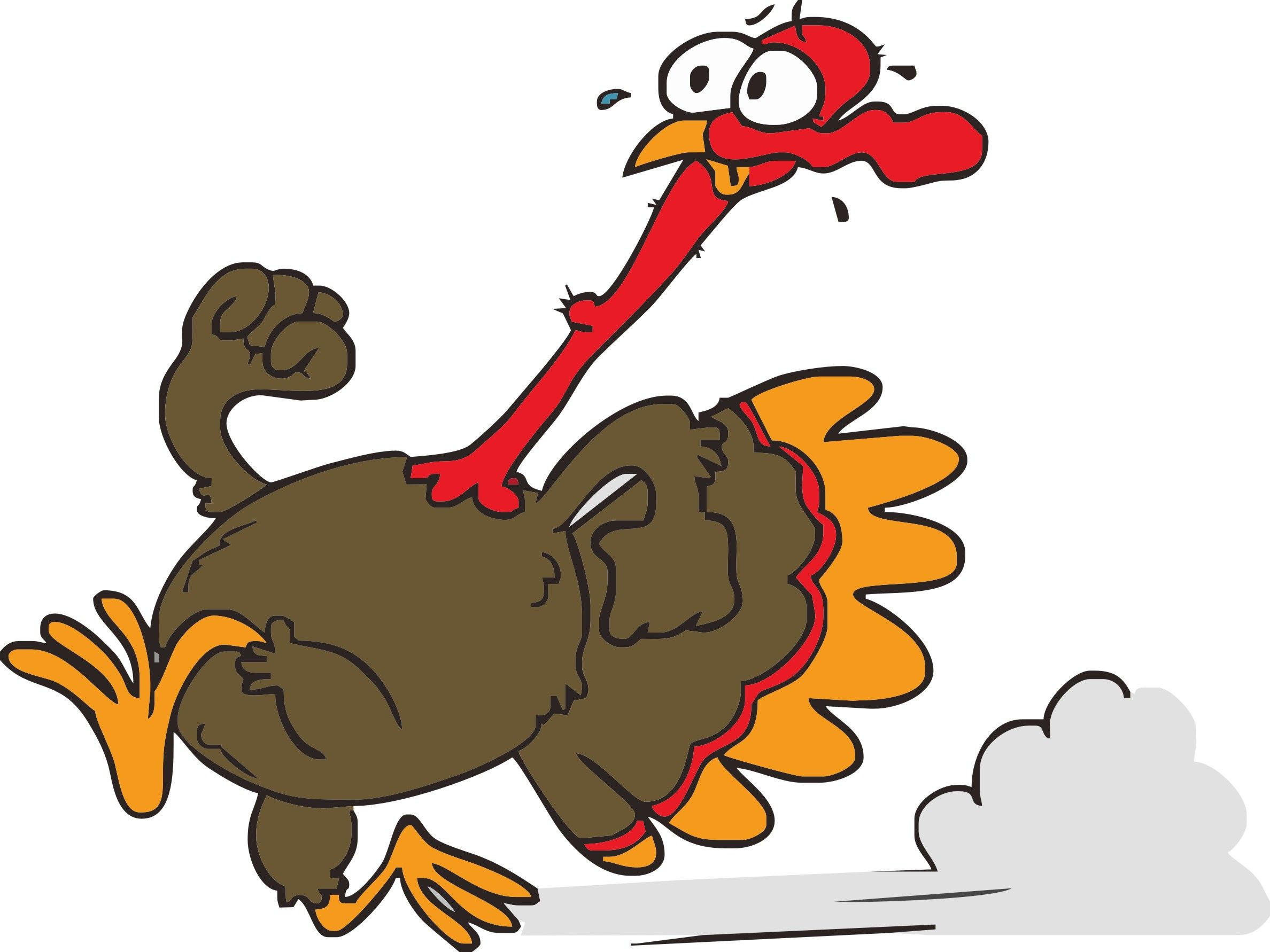 Thanksgiving Turkey Cartoon Pictures
 turkey Google Search turkey thanksgiving