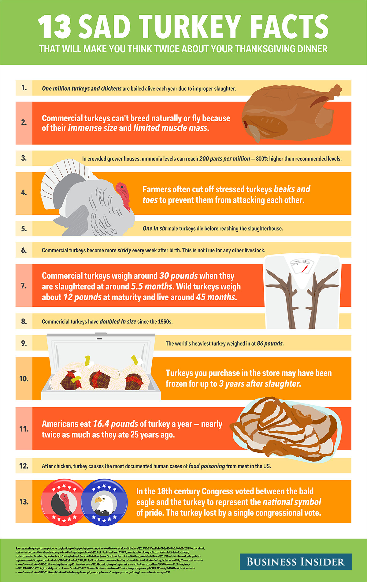 Thanksgiving Turkey Facts
 Sad Turkey Facts Business Insider