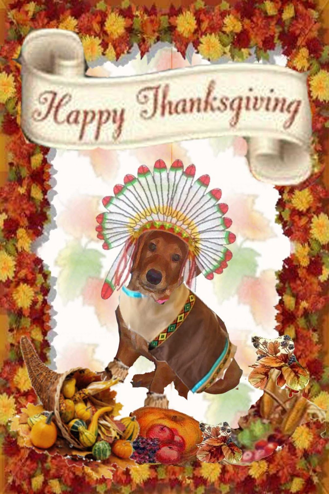 Thanksgiving Turkey Indian Style
 Thanksgiving Miracle Dog Cards Heather s Miracle Dog