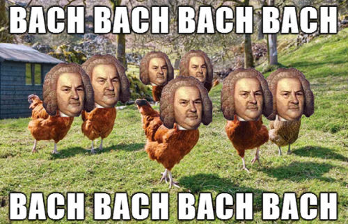 Thanksgiving Turkey Memes
 Bach Bach Funny Thanksgiving Meme