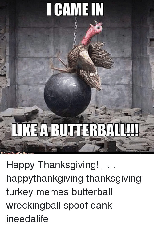 Thanksgiving Turkey Memes
 25 Best Memes About Turkey Meme