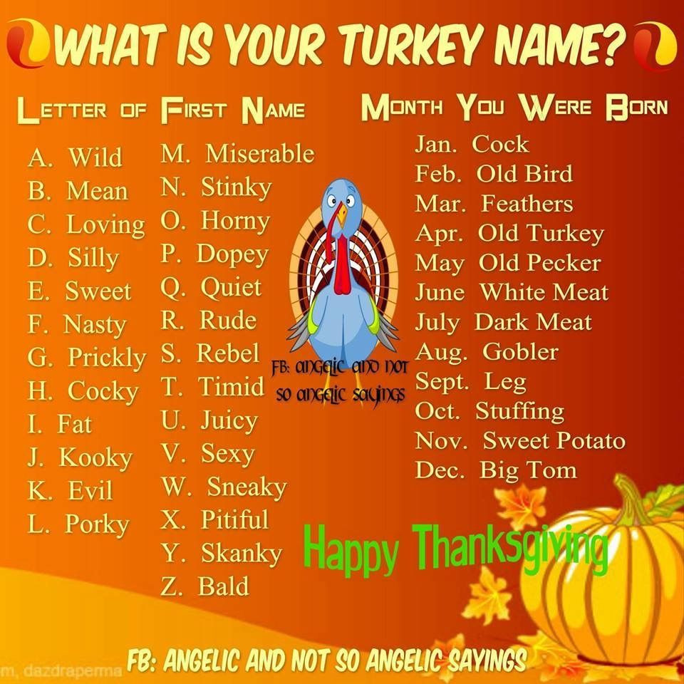 Thanksgiving Turkey Names
 What s your turkey name Fun turkey name generator