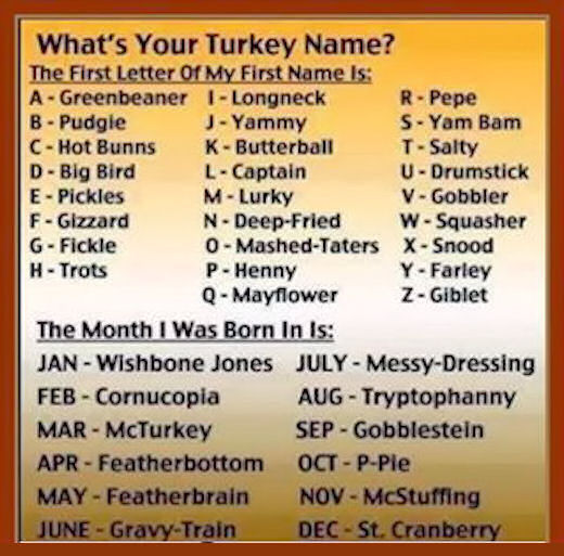 Thanksgiving Turkey Names
 Whats Your Turkey Name s and for