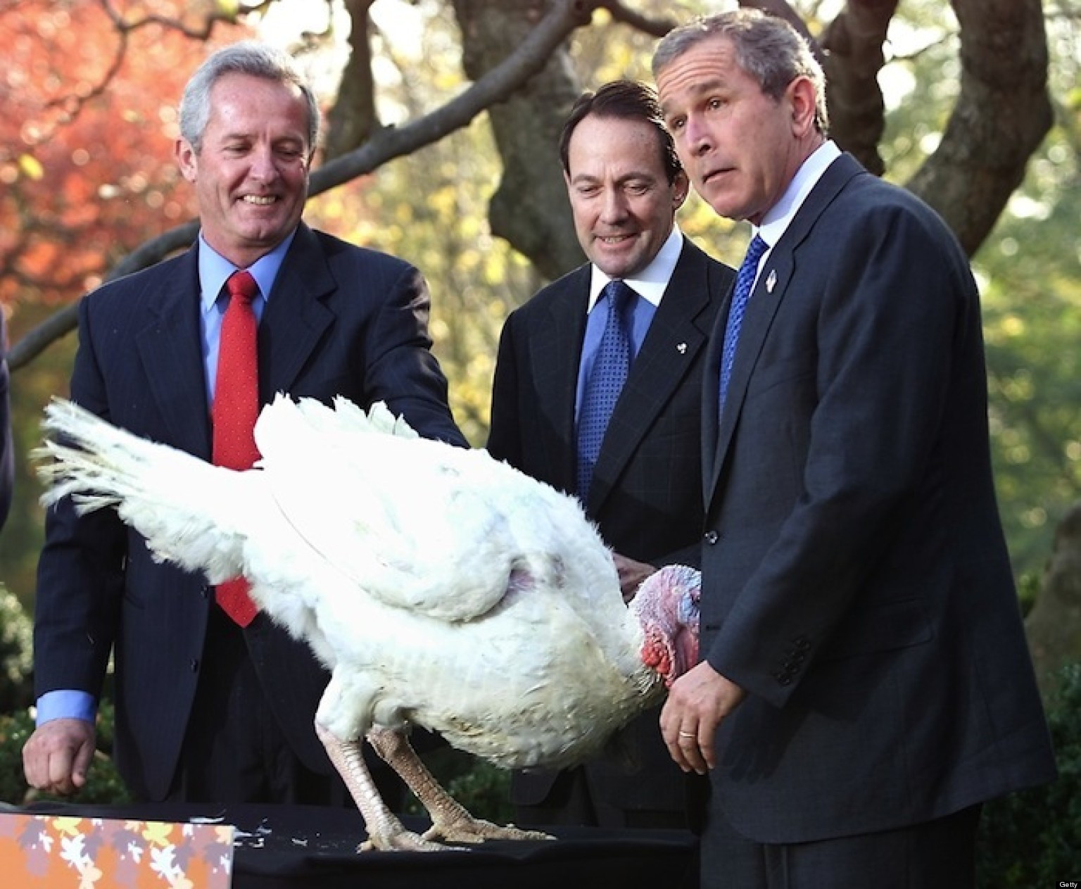 Thanksgiving Turkey Pardon
 Presidential Turkey Pardon A Look Back At The