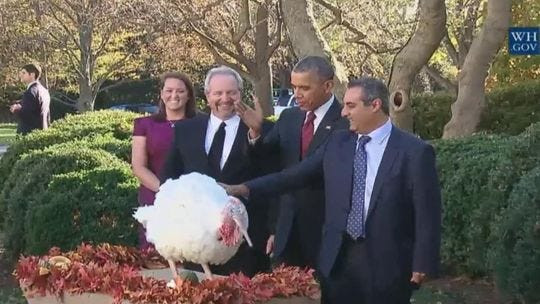 Thanksgiving Turkey Pardon
 Obama pardons TOTUS — the Turkey of the United States