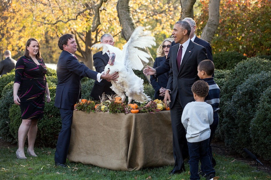 Thanksgiving Turkey Pardon
 President Obama s Final Turkey Pardon