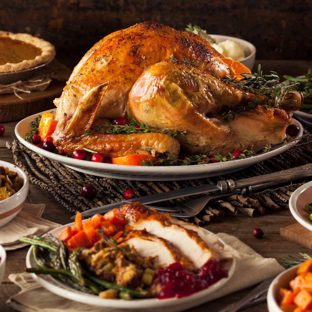 Thanksgiving Turkey Picture
 Food Safety Tips for your Holiday Turkey Features