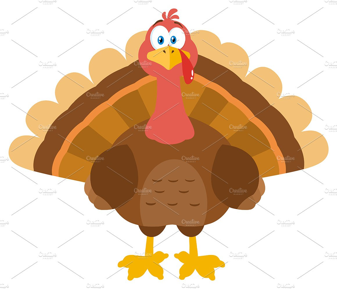 Thanksgiving Turkey Vector
 Turkey Bird Cartoon Mascot Character Illustrations