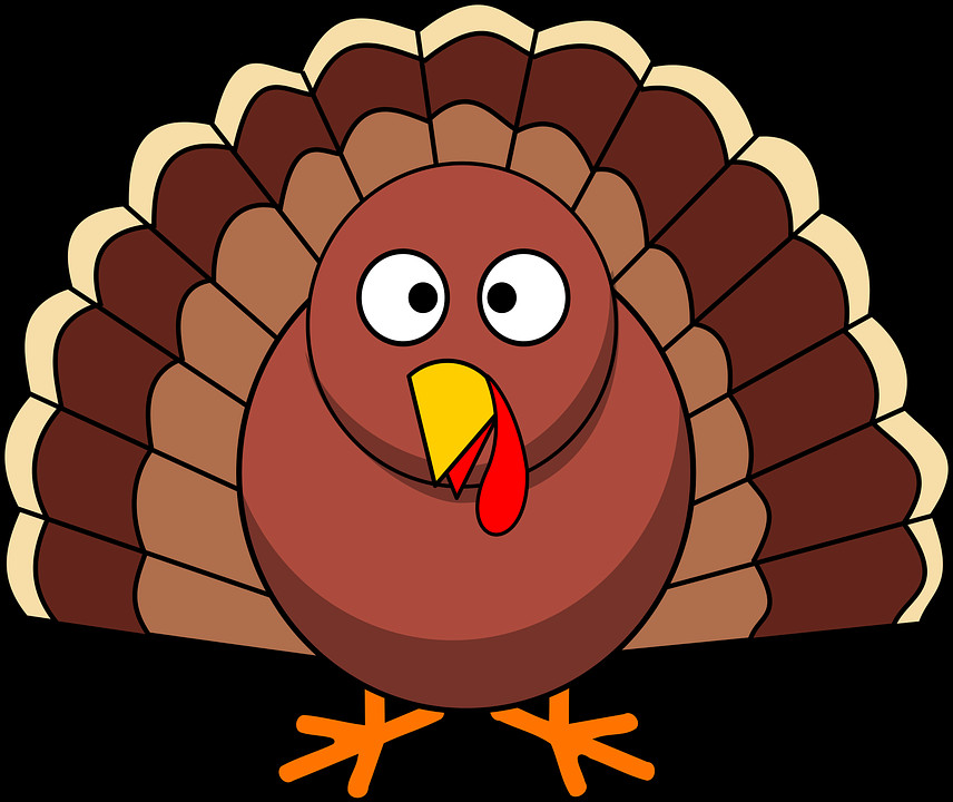 Thanksgiving Turkey Vector
 Turkey Thanksgiving Poultry · Free vector graphic on Pixabay
