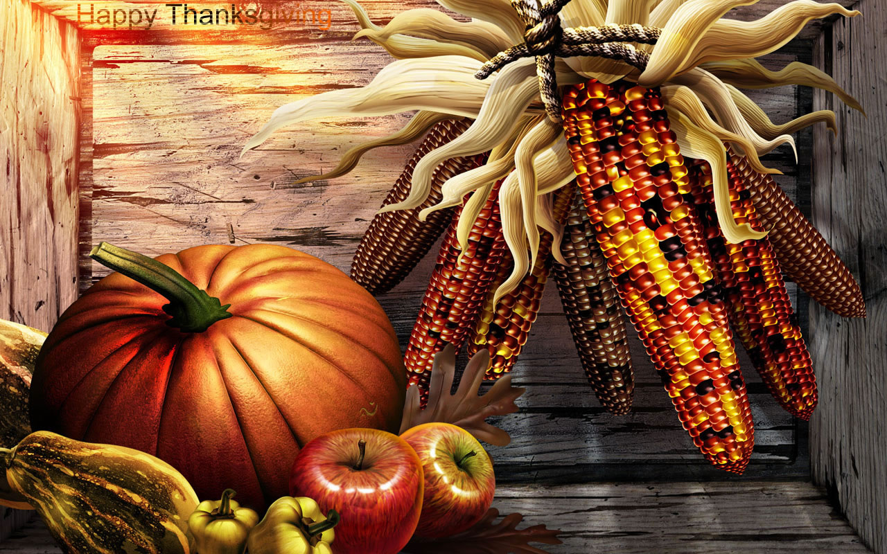 Thanksgiving Turkey Wallpaper
 kosldsouuss 2008 Thanksgiving Wallpaper