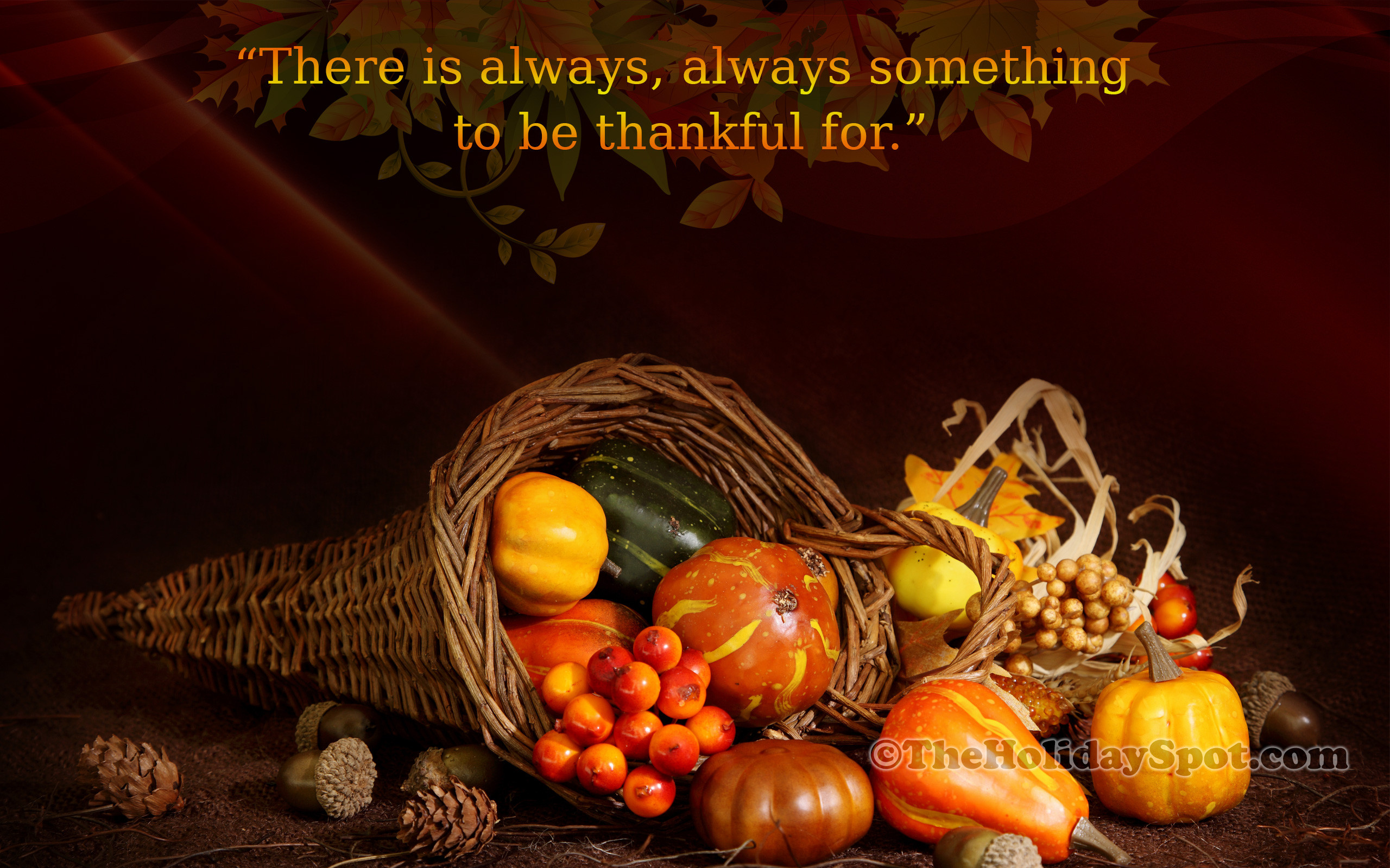 Thanksgiving Turkey Wallpaper
 Thanksgiving Wallpapers