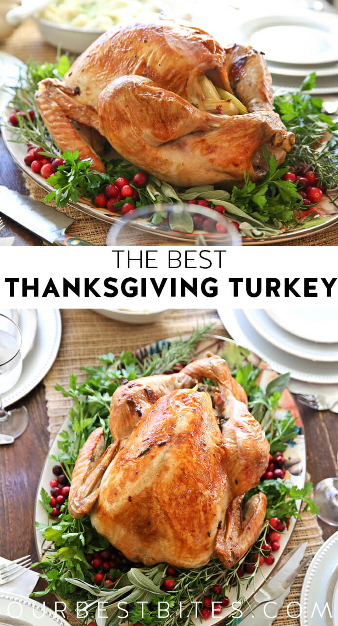 The Best Thanksgiving Turkey Recipe
 The Best Thanksgiving Turkey