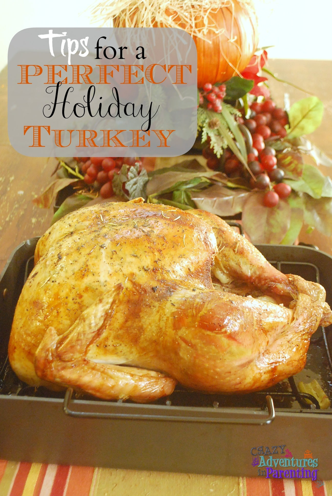The Best Thanksgiving Turkey Recipe
 Tips for the Best Holiday Turkey Recipe