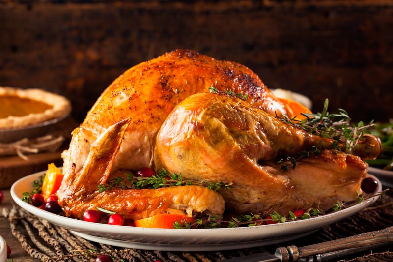 The Biggest Thanksgiving Turkey
 Thanksgiving Day Cómo Celebrar el Da de Acción de