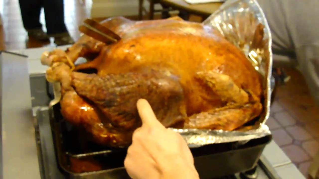 The Biggest Thanksgiving Turkey
 The giant 42 lb Thanksgiving Turkey
