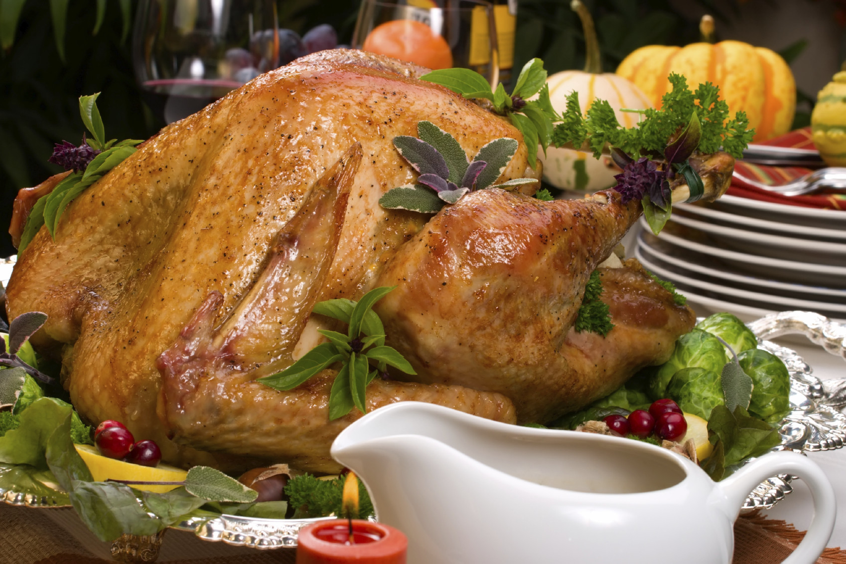 The Biggest Thanksgiving Turkey
 Tips for preparing your holiday turkey – News from