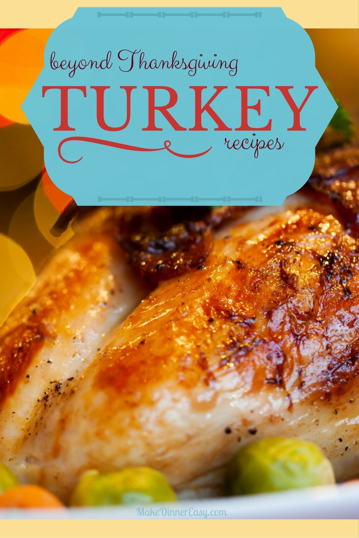 Traditional Thanksgiving Turkey Recipe
 Turkey Recipes