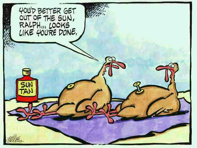 Turkey Cartoons Thanksgiving
 Heart 2 Heart November 2009